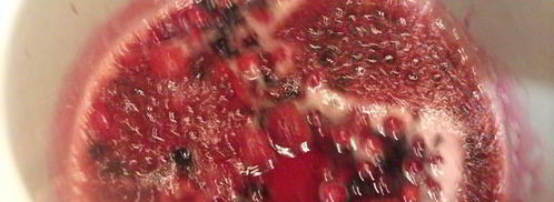 торт-безе рождественский венок. Шаг 8