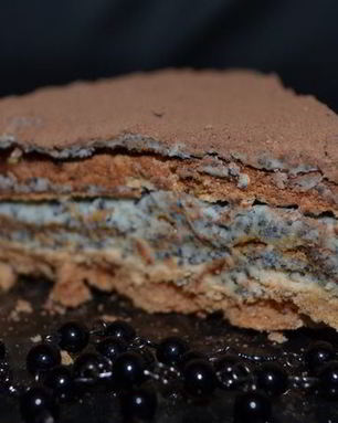 Торт-безе с маково-сливочным кремом