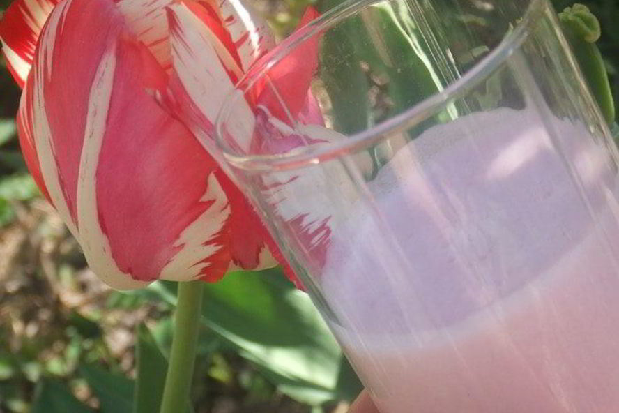 Рецепт домашнего йогурта