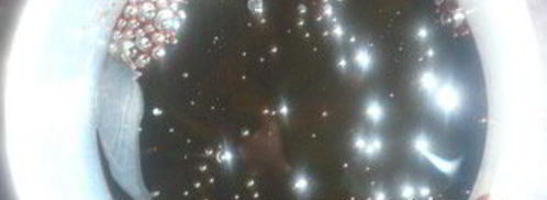 семени халвасы — халва на соке пророщенных зерен пшеницы. Шаг 9