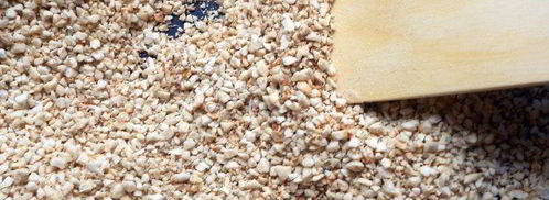 шоколадные конфеты с кешью и халвой. Шаг 5