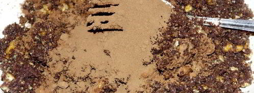 конфеты шоколадные с грецкими орехами и миндальным ликером. Шаг 5