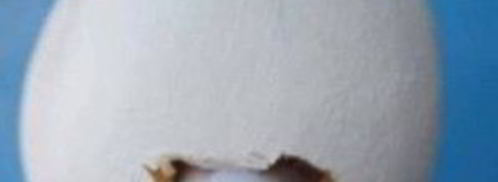 лебеди из конфет. Шаг 7