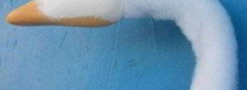 лебеди из конфет. Шаг 8