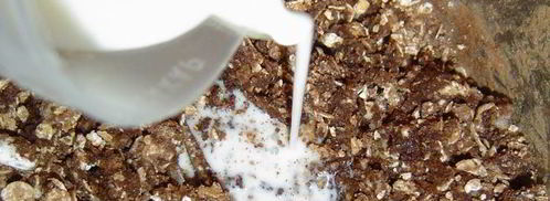 шоколадные конфеты каштаны за 20 минут. Шаг 5