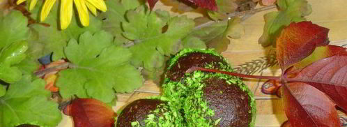 шоколадные конфеты каштаны за 20 минут. Шаг 8