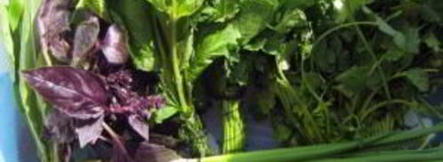 творожный крем с зеленью. Шаг 3