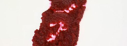 рулет из краба и телятины с вишневым мармеладом. Шаг 9