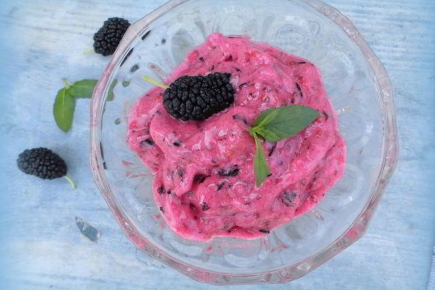 Рецепт бесподобного сыроедческого мороженого