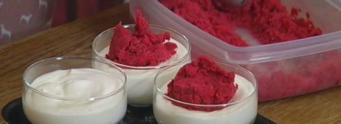 йогуртовый мусс с гранитой. Шаг 13