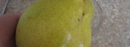 конфеты с грушово-мятным муссом. Шаг 10