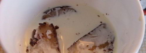 творожный мусс с ореховой нугой и шоколадным марципаном. Шаг 3