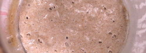 итальянский пасхальный кулич colomba на закваске. Шаг 3