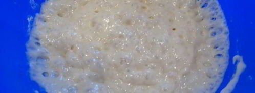 морковный кулич с клюквой. Шаг 5