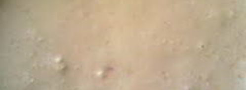 заварная творожная пасха. Шаг 8