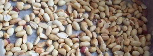 вареный молочный сахар. Шаг 8