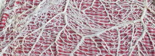 суфле с морепродуктами. Шаг 18