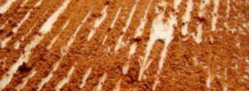 тирамису без кофе. Шаг 8