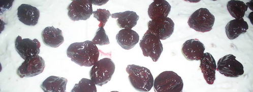 творожный торт-десерт с пьяными вишнями в стиле тирамису. Шаг 19