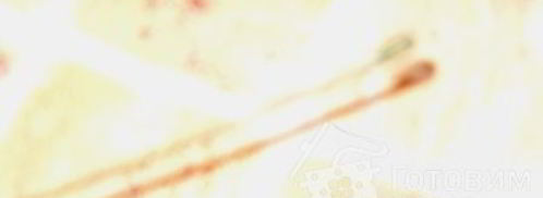 мастика из маршмеллоу и розы. Шаг 11