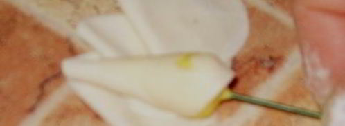 мастика из маршмеллоу и розы. Шаг 17