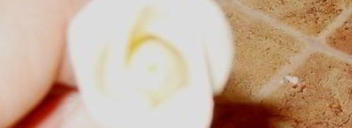 мастика из маршмеллоу и розы. Шаг 18