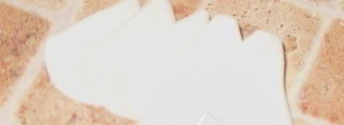 мастика из маршмеллоу и розы. Шаг 19