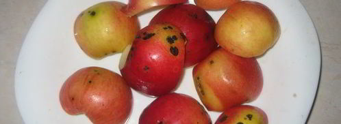 зефир по госту. Шаг 3