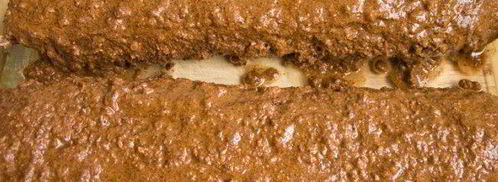 домашняя бастурма. Шаг 9