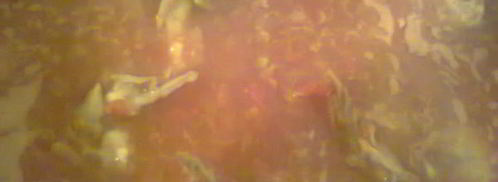 чахохбили классический. Шаг 6