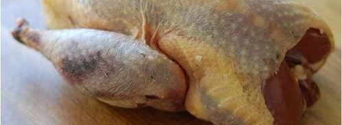 чахохбили с фазана и курицы. Шаг 8