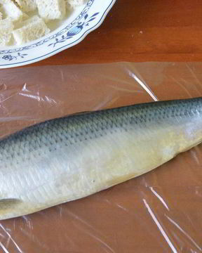 Форшмак из селедки