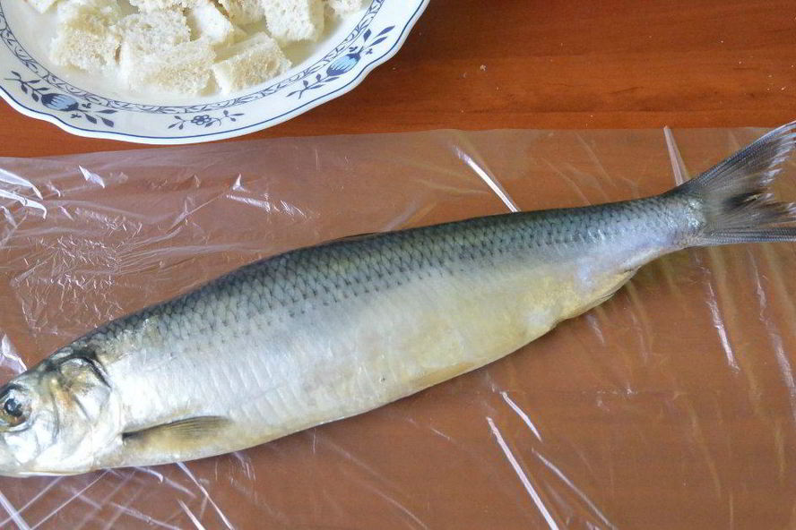 Рецепт форшмака из селедки