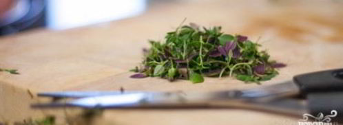 фрикадельки по-итальянски. Шаг 6