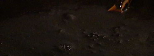 черный рис с кальмарами и морскими гребешками. Шаг 7