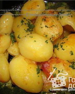 Картофель Поколение