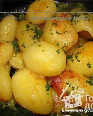 Картофель Поколение