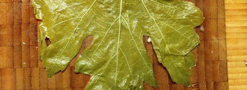 ароматная долма с мацони. Шаг 7