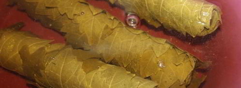 долма из маринованых виноградных листьев с говядиной. Шаг 3