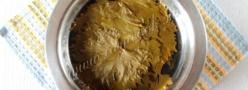 долма ленивая. Шаг 5