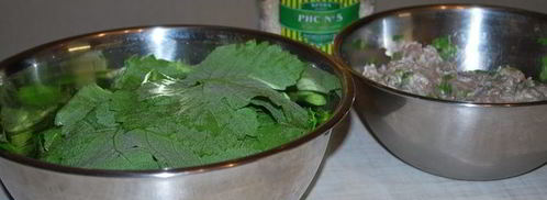 долма с чесночным соусом и кинзой. Шаг 4