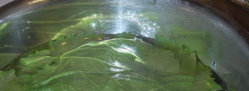 долма с чесночным соусом и кинзой. Шаг 5