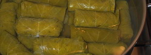 долма с чесночным соусом и кинзой. Шаг 9