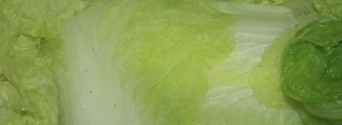 голубцы с мраморной говядиной во вкуснейшем сметанно-овощном соусе. Шаг 3