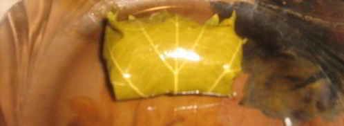 турецкая долма с хайдари. Шаг 6