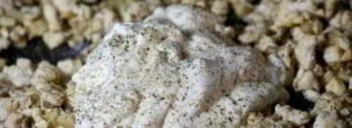 грибы фаршированные. Шаг 9