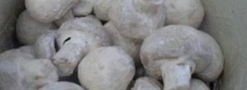 шампиньоны гриль. Шаг 3