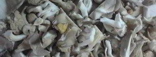 вешенки, жареные с картошкой. Шаг 4