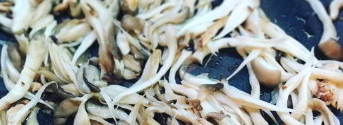 лазанья с вешенками под соусом бешамель. Шаг 6