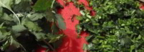 мексиканская лазанья. Шаг 3